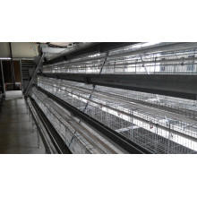 Hot Sell a Type Chicken Cage System De Jinfeng